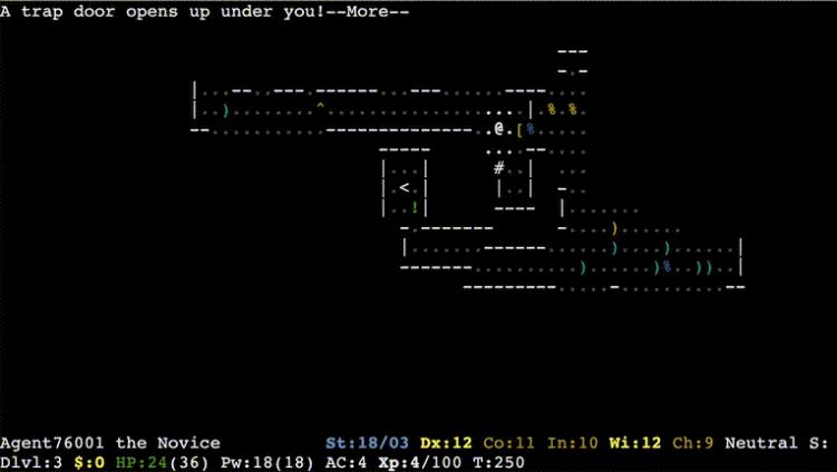 NetHack